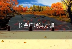 长金广场舞万疆