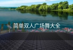 简单双人广场舞大全