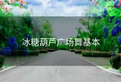 冰糖葫芦广场舞基本