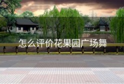 怎么评价花果园广场舞