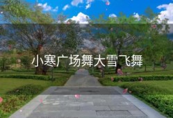 小寒广场舞大雪飞舞
