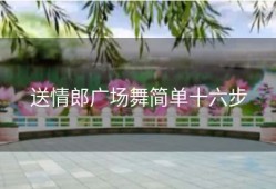送情郎广场舞简单十六步