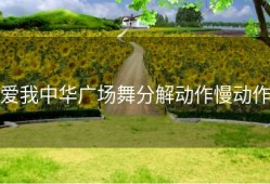 爱我中华广场舞分解动作慢动作