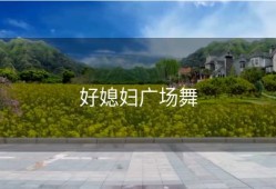 好媳妇广场舞