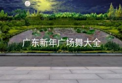 广东新年广场舞大全