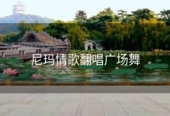 尼玛情歌翻唱广场舞