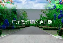 广场舞红红的萨日朗