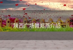 陕西广场舞郑燕介绍