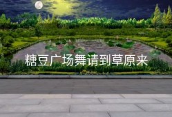 糖豆广场舞请到草原来
