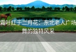 霜叶红于二月花：东北老人广场舞的独特风采