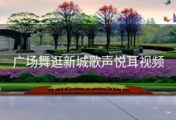 广场舞逛新城歌声悦耳视频
