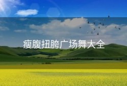 瘦腹扭胯广场舞大全