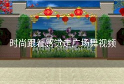 时尚跟着感觉走广场舞视频
