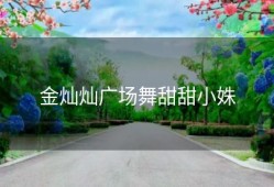 金灿灿广场舞甜甜小姝