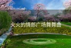 火火的情郎广场舞舞曲