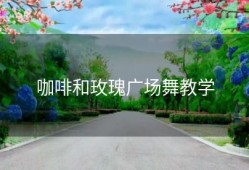 咖啡和玫瑰广场舞教学