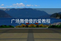 广场舞傻傻的爱教程