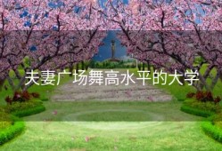 夫妻广场舞高水平的大学