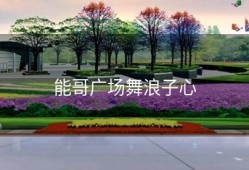 能哥广场舞浪子心