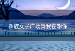 彝族女子广场舞我在想你