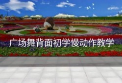 广场舞背面初学慢动作教学