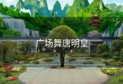 广场舞唐明皇