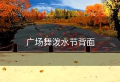 广场舞泼水节背面