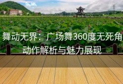 舞动无界：广场舞360度无死角动作解析与魅力展现
