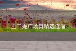 王二妮广场舞精选连唱