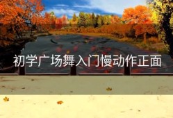 初学广场舞入门慢动作正面