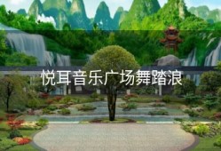 悦耳音乐广场舞踏浪
