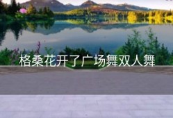 格桑花开了广场舞双人舞