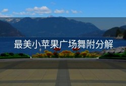 最美小苹果广场舞附分解