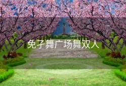 免孑舞广场舞双人
