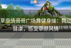 草原情哥哥广场舞健身操：舞动健康，感受草原风情