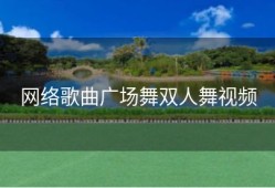 网络歌曲广场舞双人舞视频