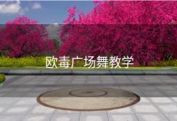 欧毒广场舞教学