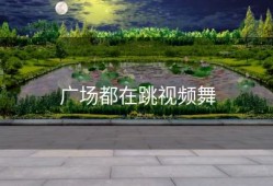 广场都在跳视频舞