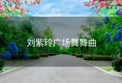 刘紫玲广场舞舞曲