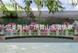 完美舞动广场舞山水唱情歌