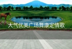 大气优美广场舞康定情歌