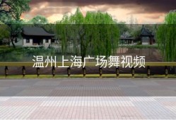 温州上海广场舞视频