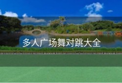 多人广场舞对跳大全