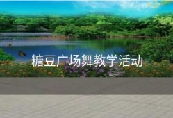 糖豆广场舞教学活动