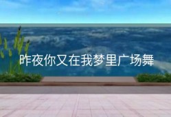 昨夜你又在我梦里广场舞