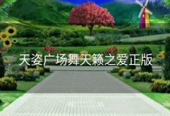 天姿广场舞天籁之爱正版