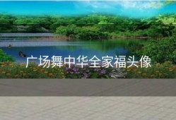 广场舞中华全家福头像