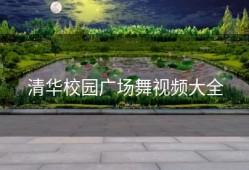 清华校园广场舞视频大全