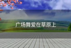 广场舞爱在草原上