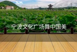 宁波文化广场舞中国美